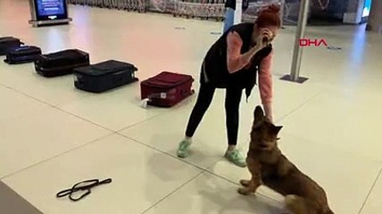 İstanbul Havalimanı'nda 10 milyon 400 bin liralık uyuşturucu yakalandı