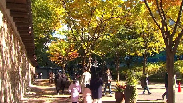 [날씨] 주말 맑지만 찬 바람 불며 추워, 내일 낮부터 추위 풀려 / YTN