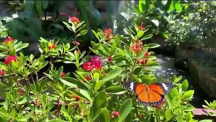 8D Romantic Music / Invisible Beauty