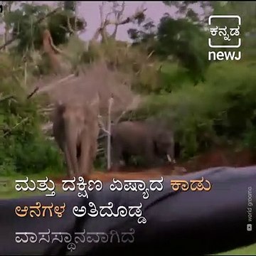 #Saturday Travel : All About The Bandipur Tiger Reserve And National Park