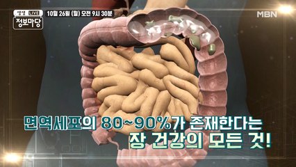 생생 정보마당 [743회] - 유쾌한 월요일