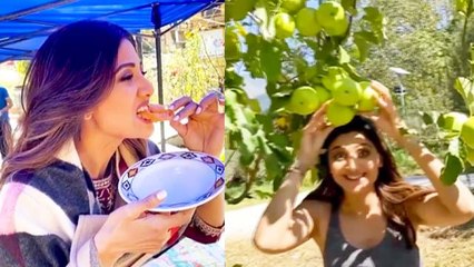 Shilpa Shetty Enjoys Jalebi After Shooting For Hungama 2