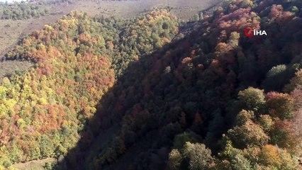 Karadeniz'de Sonbahar... Kartpostallık Görüntüler