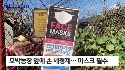 ‘코로나 핼러윈’ 호박 실종…다가가면 사탕 주는 로봇 등장