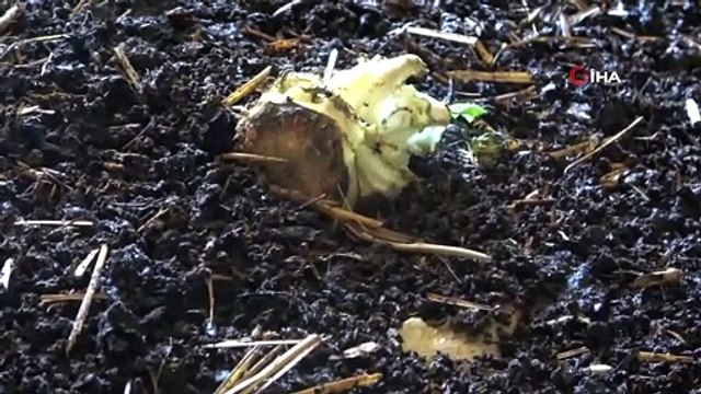 Mermer İşini Bıraktı Organik Solucan Gübresi Üretmeye Başladı