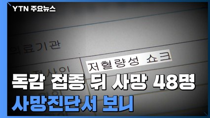 독감백신 접종 후 사망 48명...사망진단서 보니 / YTN