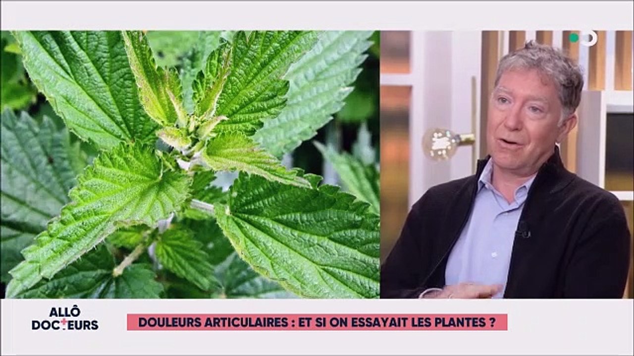 Articulations et plantes