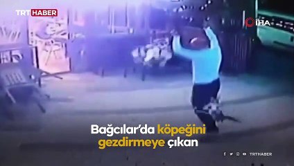 Köpeğiyle gezerken kedinin saldırısına uğradı
