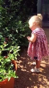 little girl says hi to butterfly - little girl says hi to butterfly