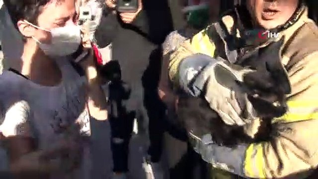 4 katlı binana yangın çıktı, kedisi 'Çiko' için gözyaşlarına boğuldu