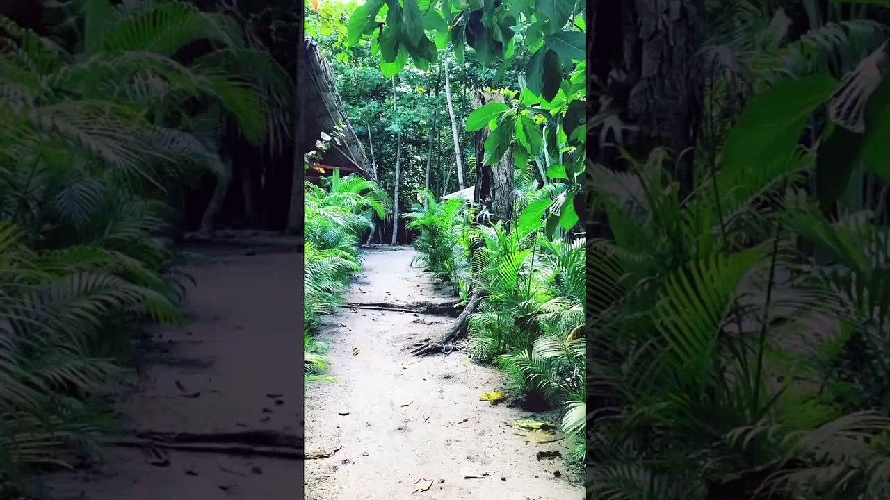 “Halloween desde la jungla”, así se disfrazó Manuela González en familia