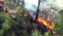 Manavgat'ta orman yangını kontrol altına alındı