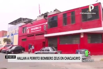 La Victoria: bomberos encontraron a Zeus, mascota de la compañía