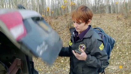 Alaska Aircrash Investigations : Stalled Over the Highway