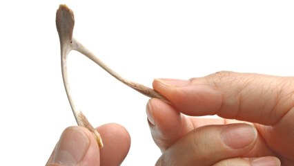 Fun Facts About Election Day In America: Tie-Breakers