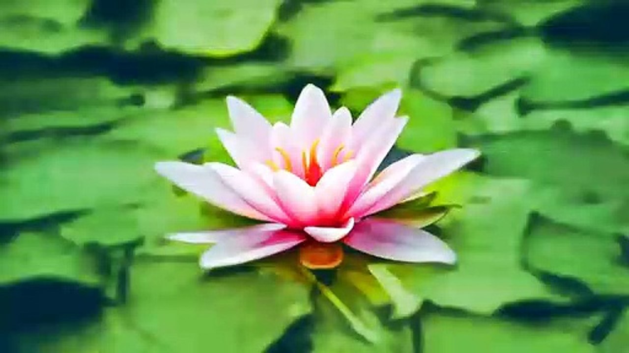 Relaxing Music for Meditation and Sleep