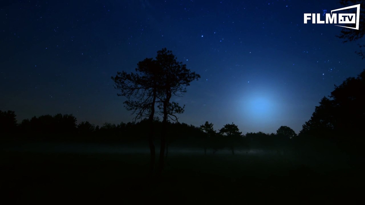 Magie Der Moore Trailer (2015) 2