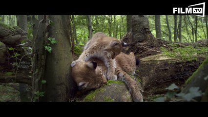 Unsere Wildnis Trailer Deutsch German (2016) 2