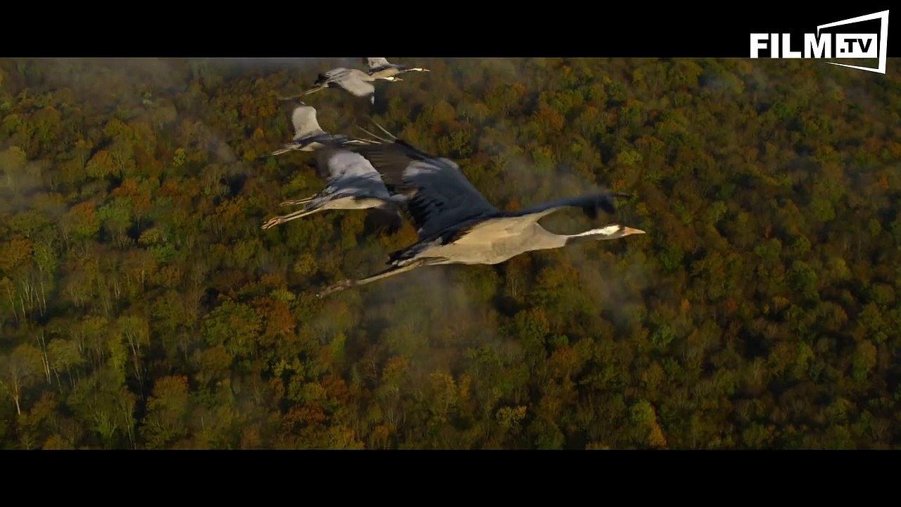 Unsere Wildnis Trailer (2016) 1