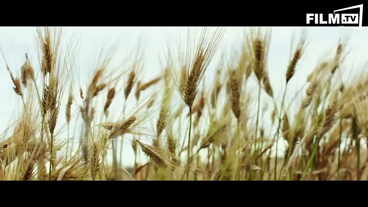 Standoff Trailer - Die Einzige Zeugin (2016) - Trailer