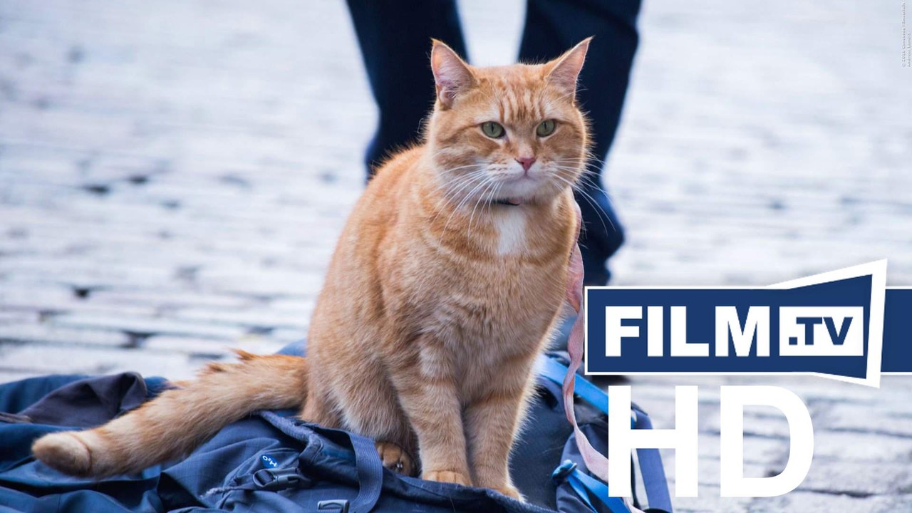 Bob Der Streuner Trailer (2017) 2