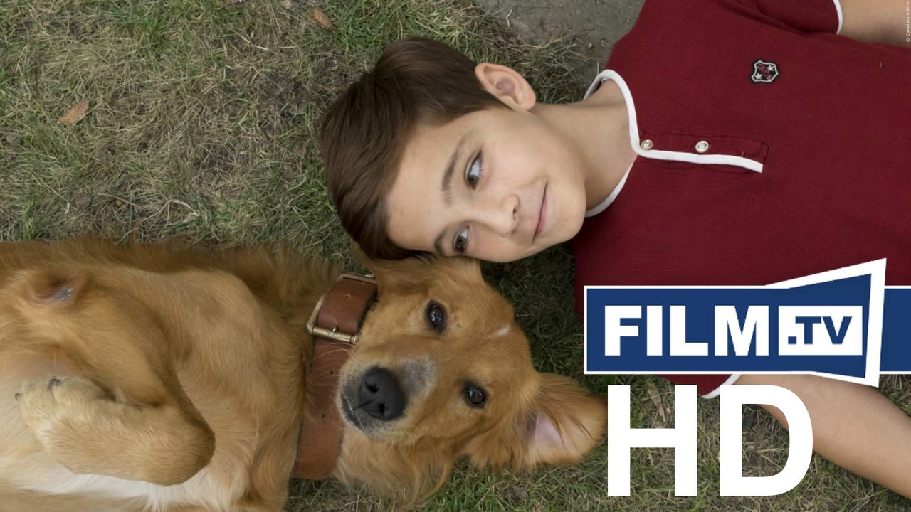 Bailey Trailer - Ein Freund Fürs Leben Deutsch German (2017) - Trailer