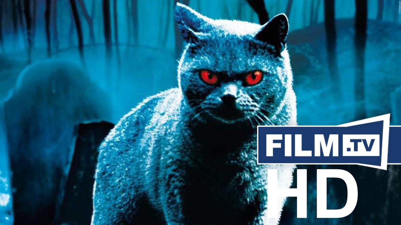 Friedhof Der Kuscheltiere: Terminator-Star übernimmt Hauptrolle (2018) - News