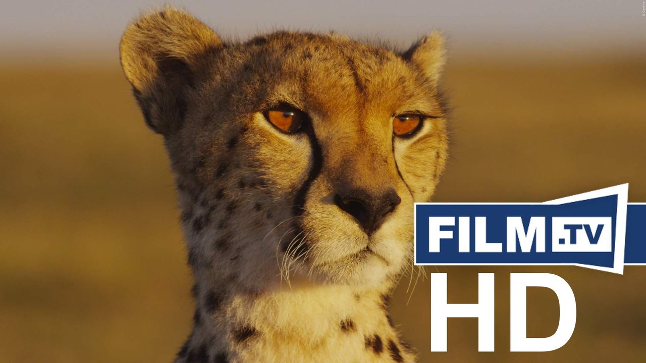 Maleika Trailer Deutsch German (2017)