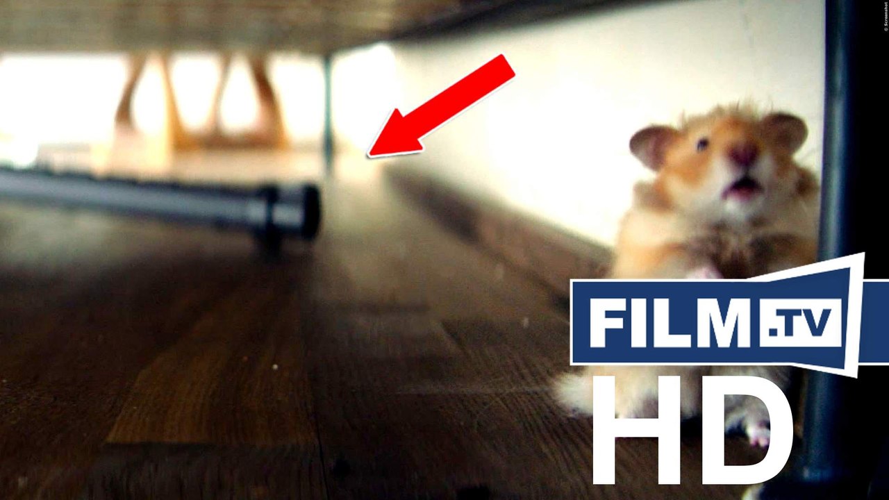 Veronica Ferres saugt Hamster mit dem Staubsauger ein -  Video