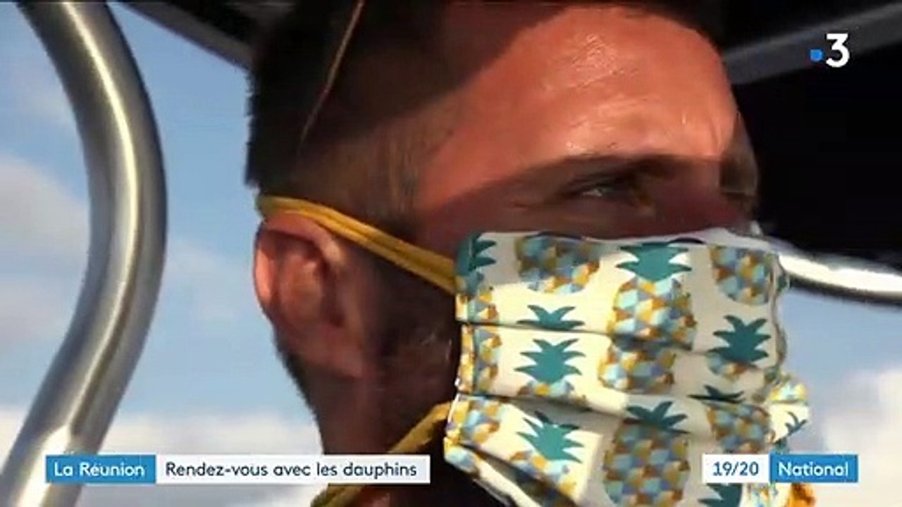 Ile de la Réunion : rencontre avec les dauphins