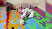 Try Not to Laugh with Best Baby Videos