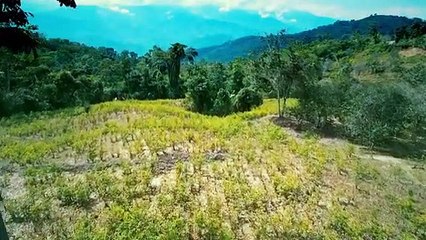 Entre los verdaderos Narcos: Peru