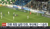 [프로축구] 잔류 희망 살린 인천, 부산에 2-1 승리