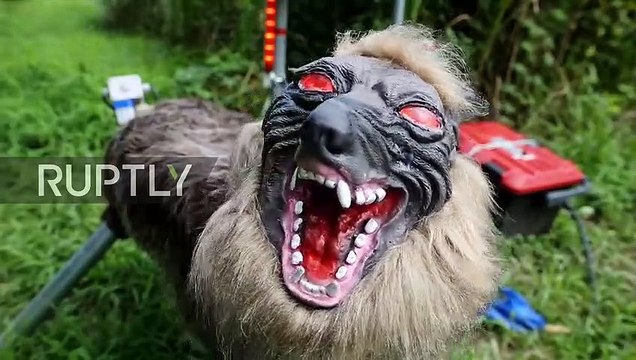 Pests ruining your crops- Time to call in 'Super Monster Wolf', the demonic sun-run security bot