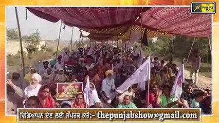 ਭਾਜਪਾ ਪ੍ਰਧਾਨ ਨੂੰ ਖਹਿਰਾ ਦੀਆਂ ਖਰੀਆਂ ਖਰੀਆਂ Sukhpal Khaira Reply to BJP President JP Nadda