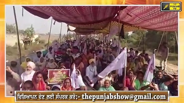 ਭਾਜਪਾ ਪ੍ਰਧਾਨ ਨੂੰ ਖਹਿਰਾ ਦੀਆਂ ਖਰੀਆਂ ਖਰੀਆਂ Sukhpal Khaira Reply to BJP President JP Nadda