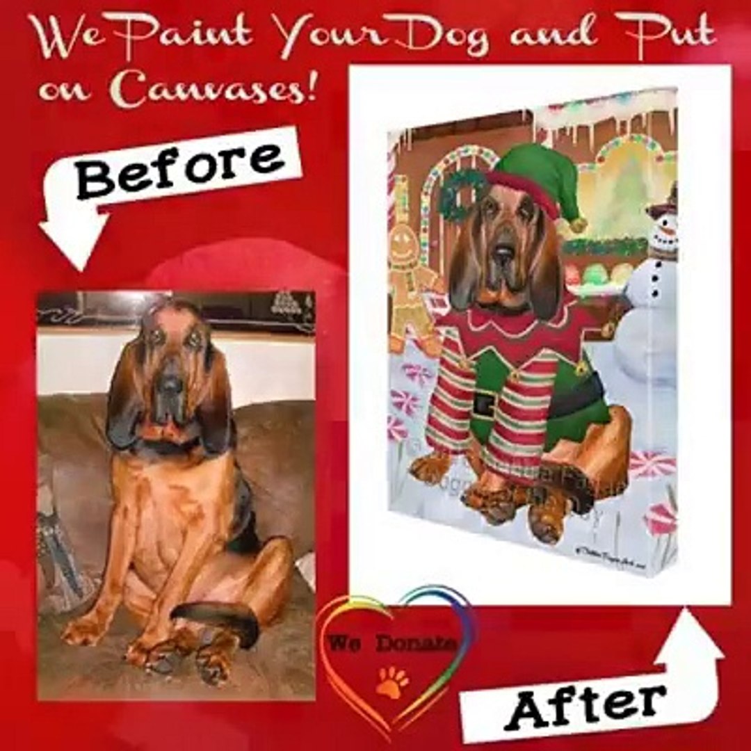 Digital Paintings For Your Pup and Kitty