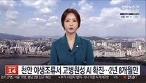 천안 야생조류서 고병원성 AI 확진…2년 8개월만