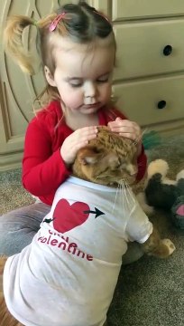 two-year-old girl hugs and tucks in cat - two-year-old girl hugs and tucks in cat -