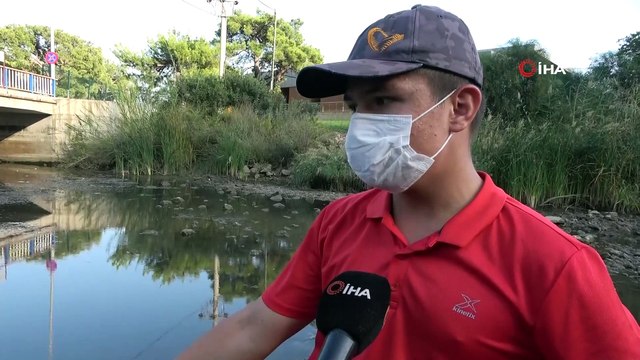 Deredeki yüzlerce balık telef oldu