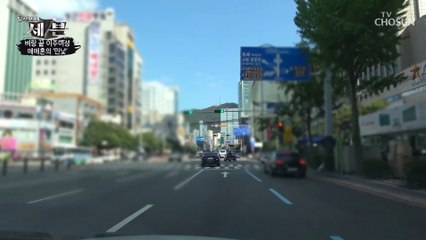 피해자 속출↗ 회사 이름 바꾸면서 운영되는 업체