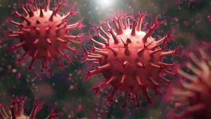 Top 10 Powerful Herbs To Fight Corona & Boost Immune System