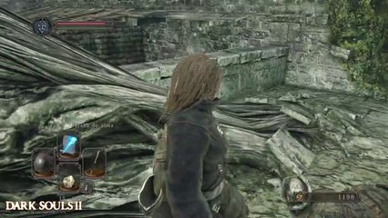 Dark Souls 2 - Guia #2. Bosque de los gigantes caidos - CanalRol 2020
