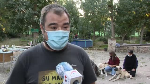 Los perros detectan el Coronavirus