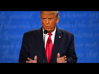 'Coyotes dawg' Liberals unfamiliar with term mock Trump for using