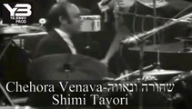 שימי תבורי שחורה ונאווה shimi tavori Chehora Venava