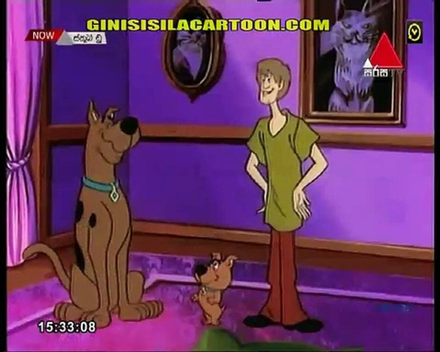 scooby 172