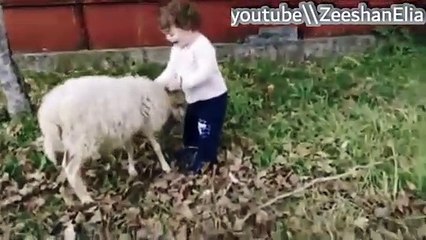 Funny #bhedu funn with little #cute #girl    | Zeeshan Elia |