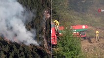 Kastamonu'da 4 Gündür Devam Eden Orman Yangınları Söndürülemiyor