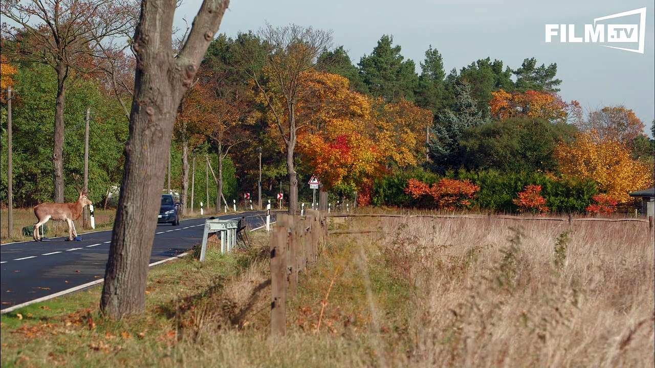 Big Business - Ausser Spesen Nichts Gewesen - Trailer - Filmkritik (2015) - Making of